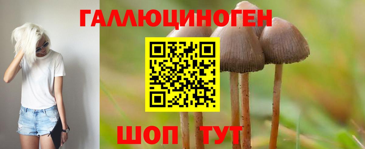 Галлюциногенные грибы мицелий Заволжье