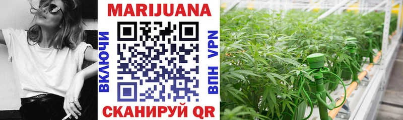 магазин продажи   Заволжье  Бошки Шишки OG Kush 